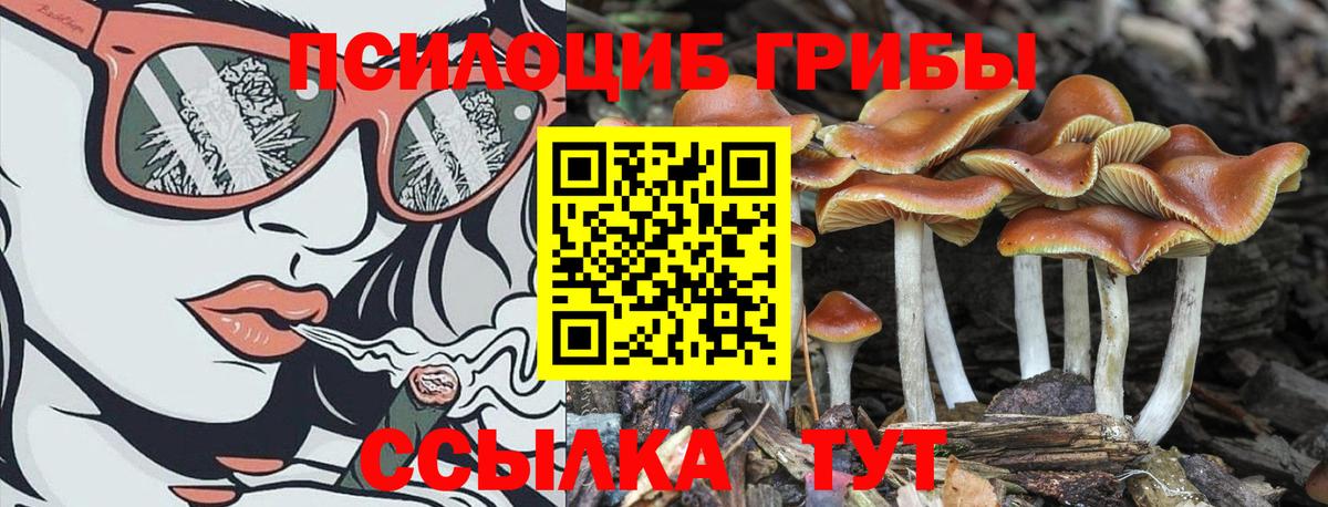 Псилоцибиновые грибы GOLDEN TEACHER  Вход с VPN  купить наркотик  Псилоцибиновые грибы Psilocybe  Нарткала 