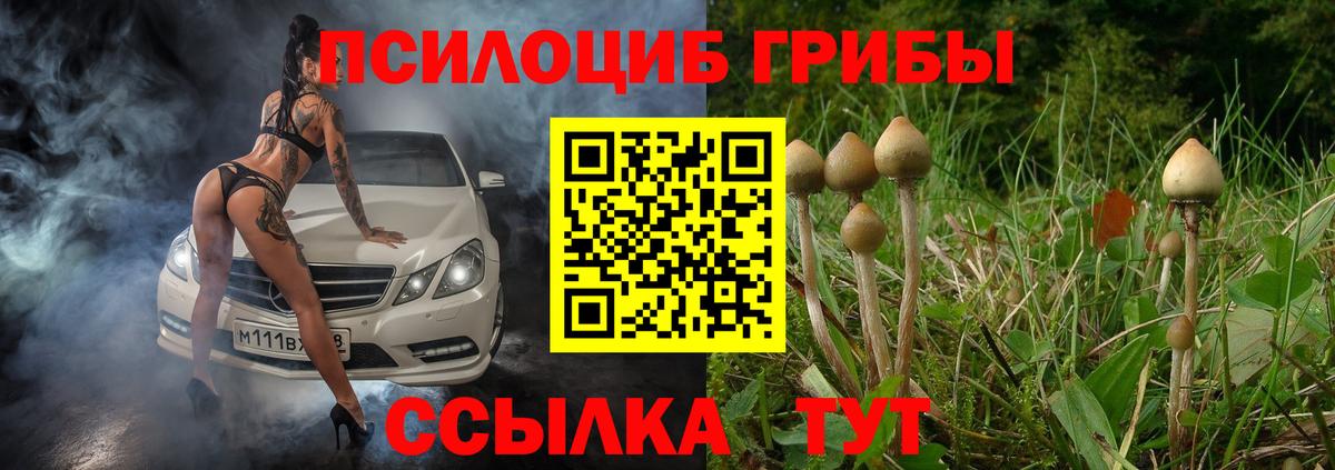 Псилоцибиновые грибы Cubensis Нарткала